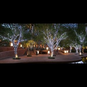 Meet your Posher, Anne